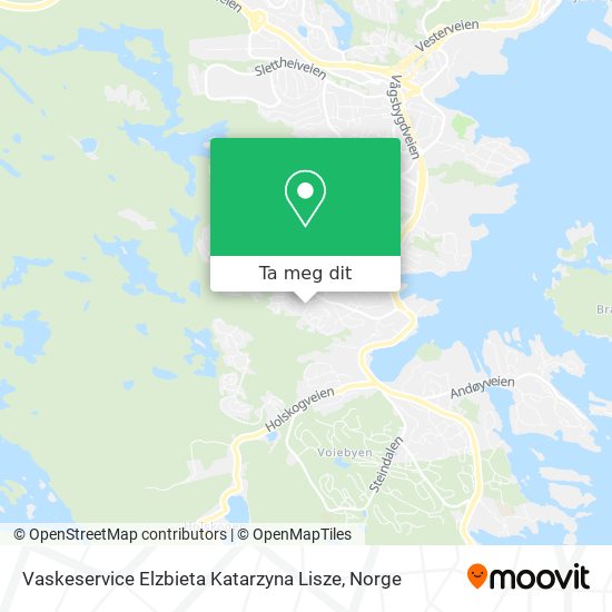 Vaskeservice Elzbieta Katarzyna Lisze kart