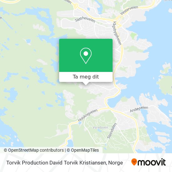 Torvik Production David Torvik Kristiansen kart