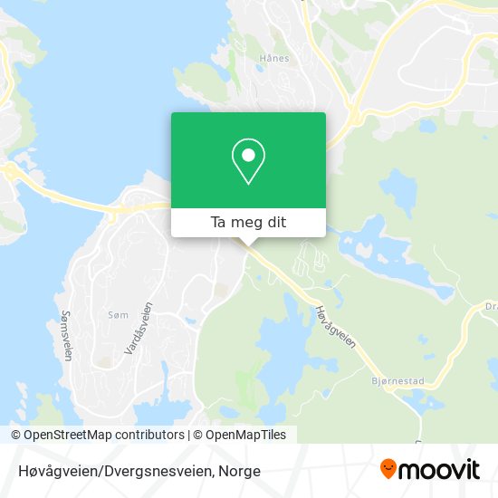 Høvågveien/Dvergsnesveien kart