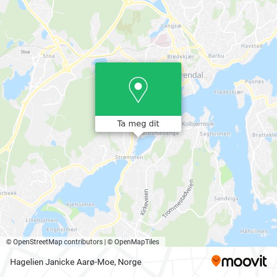 Hagelien Janicke Aarø-Moe kart