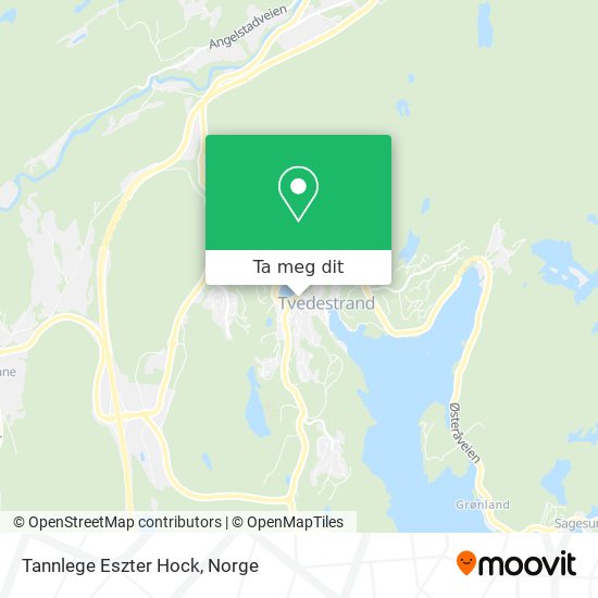 Tannlege Eszter Hock kart