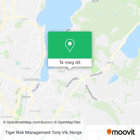 Tiger Risk Management Tony Vik kart