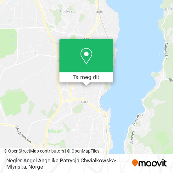 Negler Angel Angelika Patrycja Chwialkowska-Mlynska kart