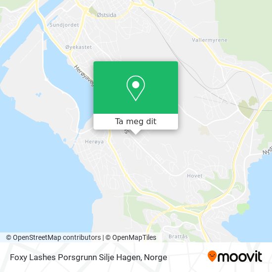 Foxy Lashes Porsgrunn Silje Hagen kart