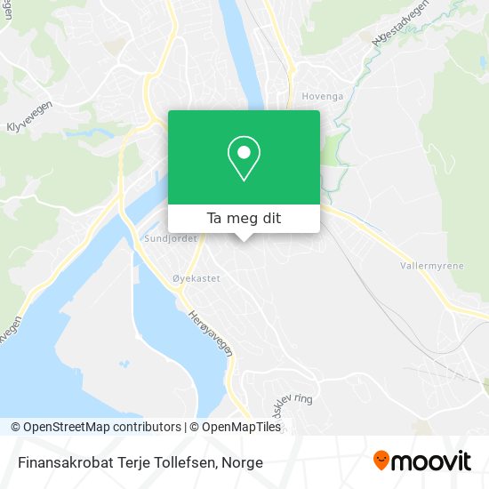 Finansakrobat Terje Tollefsen kart