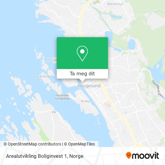 Arealutvikling Boliginvest 1 kart