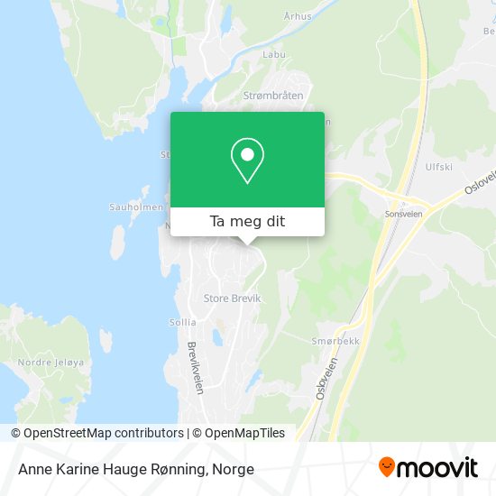 Anne Karine Hauge Rønning kart