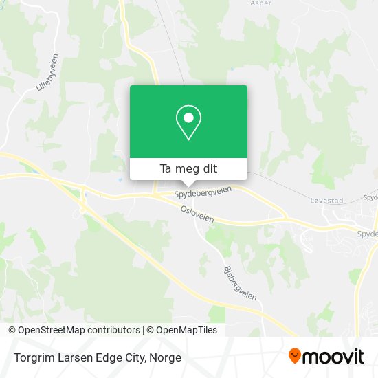 Torgrim Larsen Edge City kart