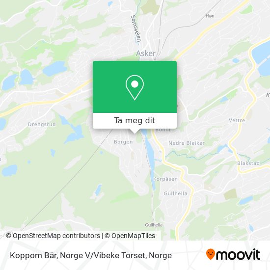 Koppom Bär, Norge V / Vibeke Torset kart