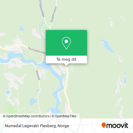 Numedal Legevakt Flesberg kart