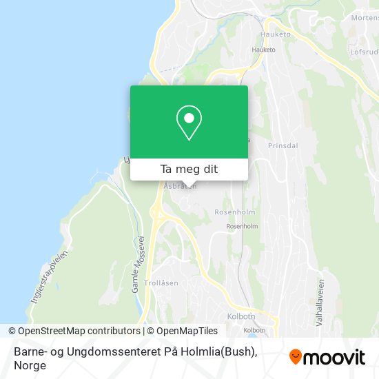 Barne- og Ungdomssenteret På Holmlia(Bush) kart