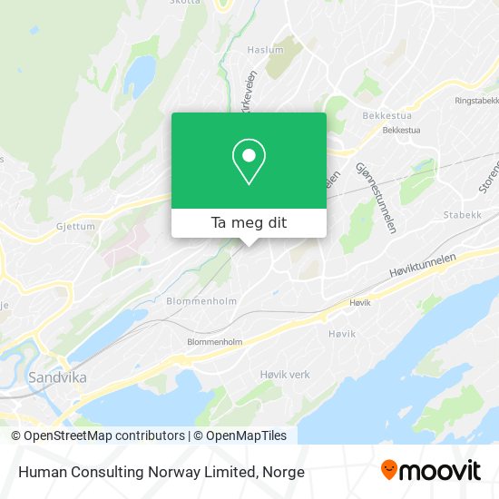 Human Consulting Norway Limited kart