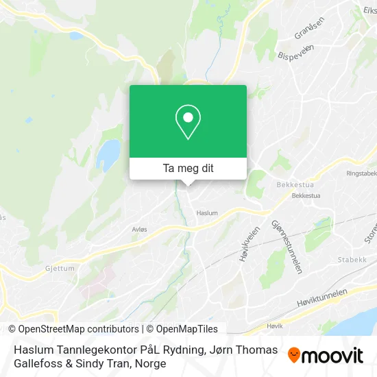 Haslum Tannlegekontor PåL Rydning, Jørn Thomas Gallefoss & Sindy Tran kart