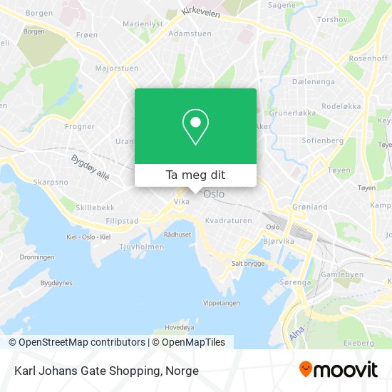 Karl Johans Gate Shopping kart