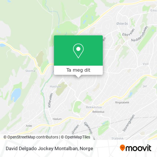 David Delgado Jockey Montalban kart
