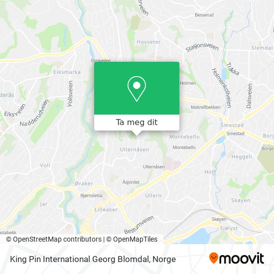 King Pin International Georg Blomdal kart