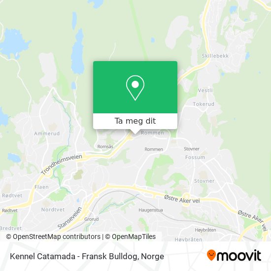 Kennel Catamada - Fransk Bulldog kart