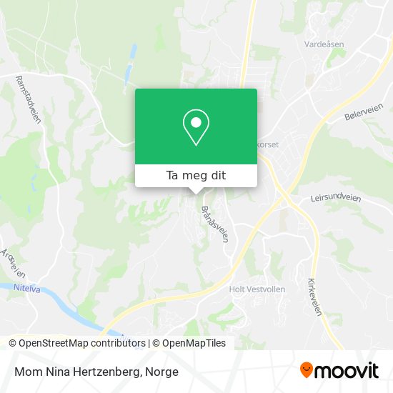 Mom Nina Hertzenberg kart