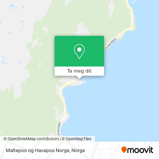 Maltepoo og Havapoo Norge kart