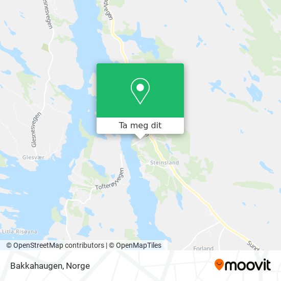 Bakkahaugen kart