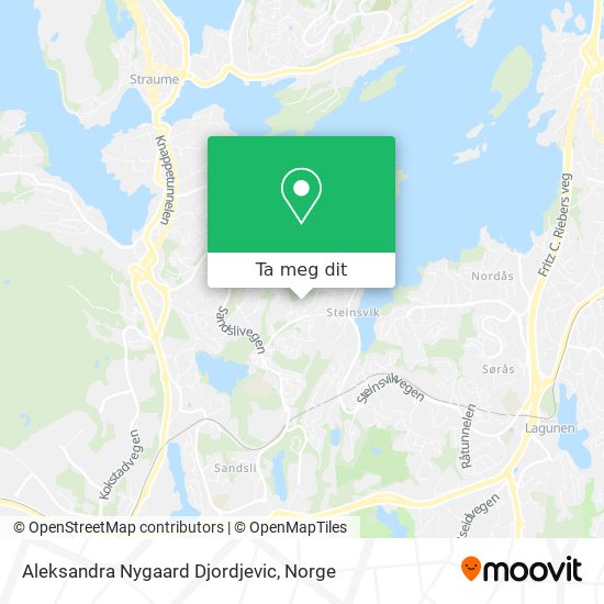 Aleksandra Nygaard Djordjevic kart
