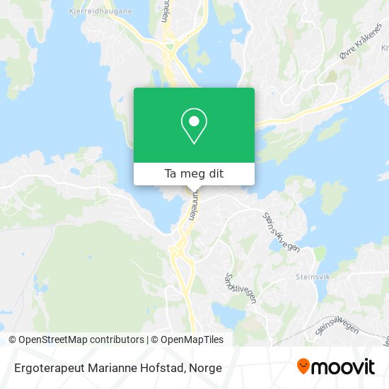 Ergoterapeut Marianne Hofstad kart