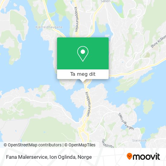Fana Malerservice, Ion Oglinda kart