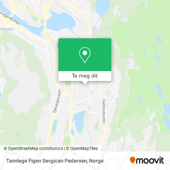 Tannlege Figen Sevgican Pedersen kart