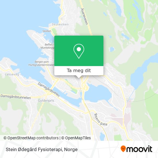 Stein Ødegård Fysioterapi kart