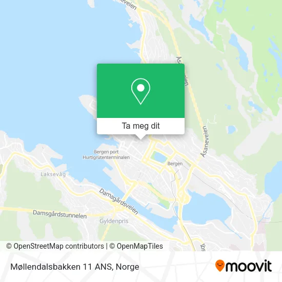 Møllendalsbakken 11 ANS kart