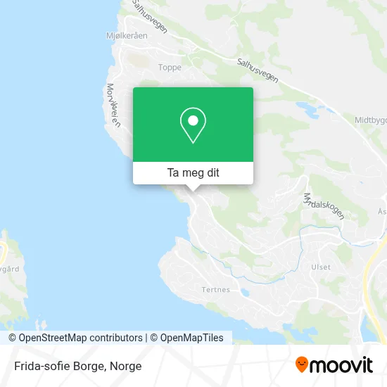 Frida-sofie Borge kart