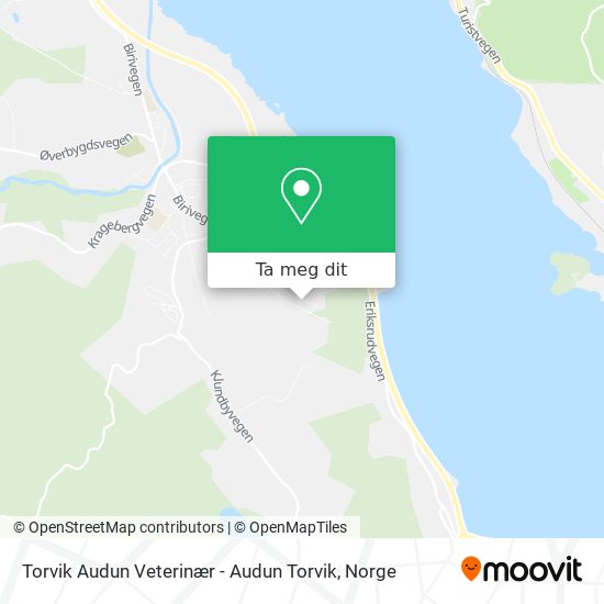 Torvik Audun Veterinær - Audun Torvik kart