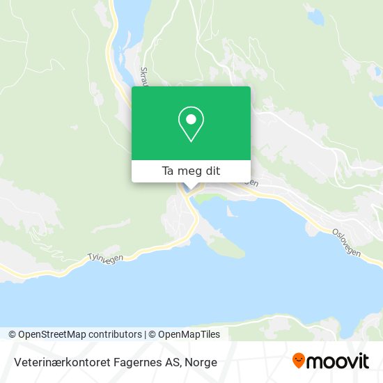 Veterinærkontoret Fagernes AS kart