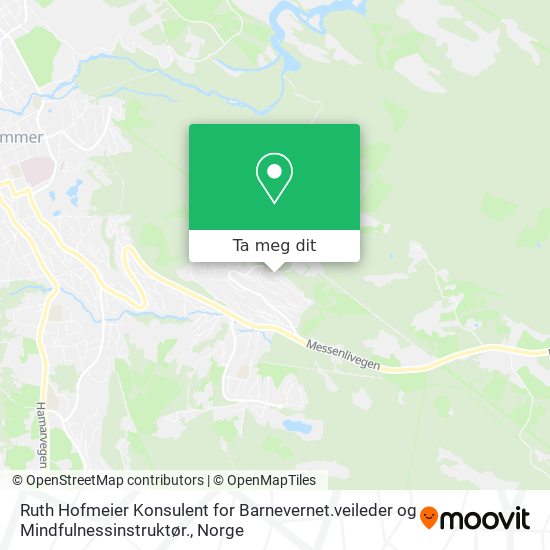 Ruth Hofmeier Konsulent for Barnevernet.veileder og Mindfulnessinstruktør. kart