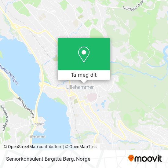 Seniorkonsulent Birgitta Berg kart
