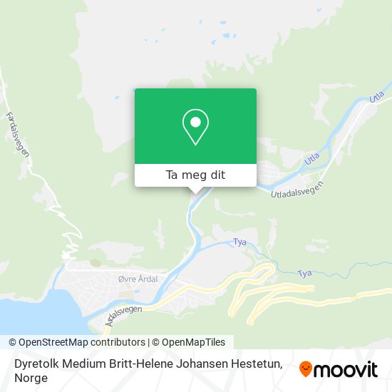 Dyretolk Medium Britt-Helene Johansen Hestetun kart