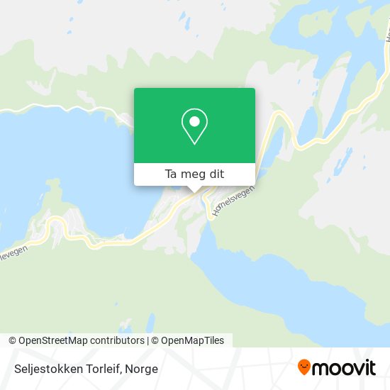 Seljestokken Torleif kart