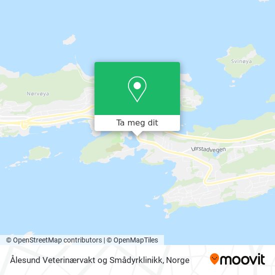 Ålesund Veterinærvakt og Smådyrklinikk kart