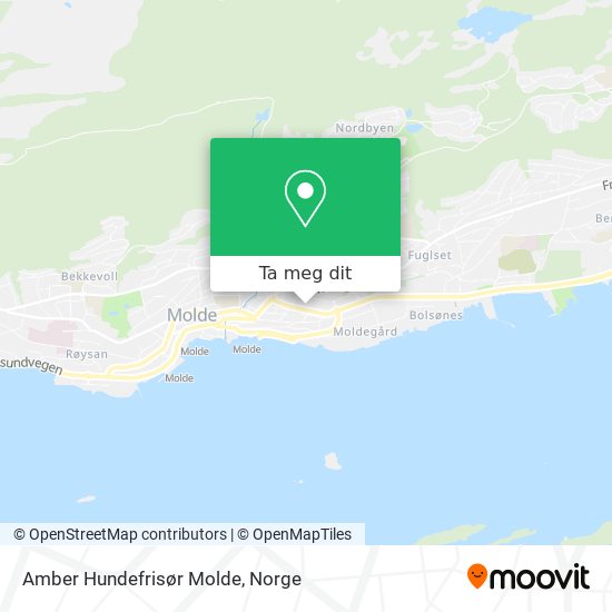 Amber Hundefrisør Molde kart