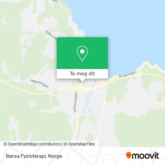 Børsa Fysioterapi kart