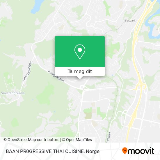 BAAN PR0GRESSIVE THAI CUISINE kart