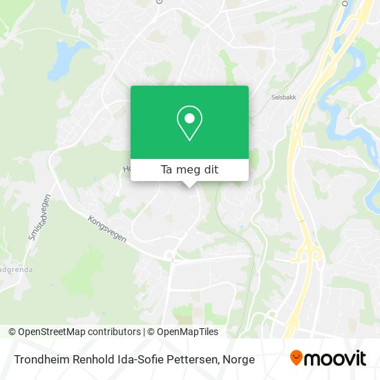 Trondheim Renhold Ida-Sofie Pettersen kart