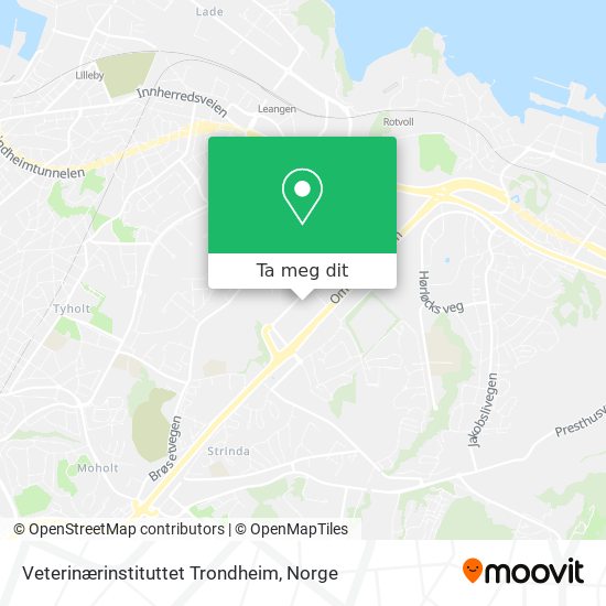 Veterinærinstituttet Trondheim kart