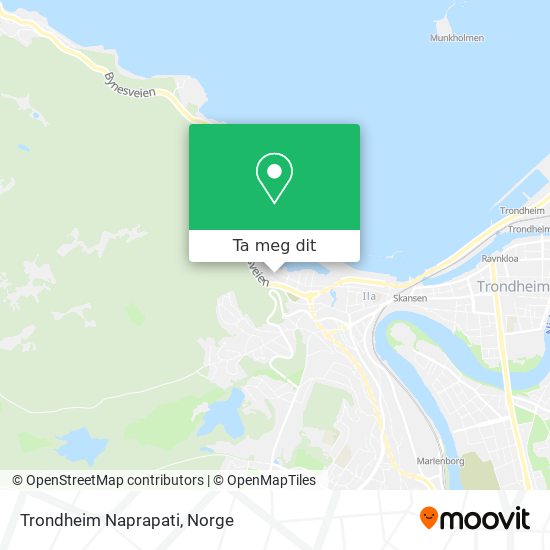 Trondheim Naprapati kart