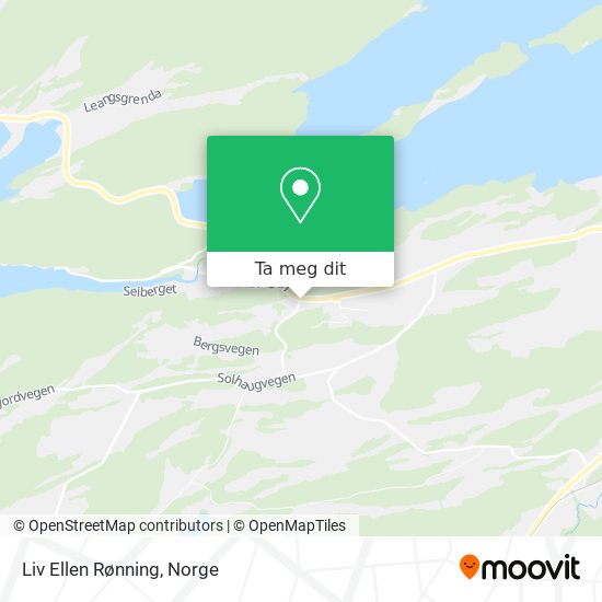 Liv Ellen Rønning kart