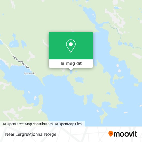 Neer Lergruvtjønna kart