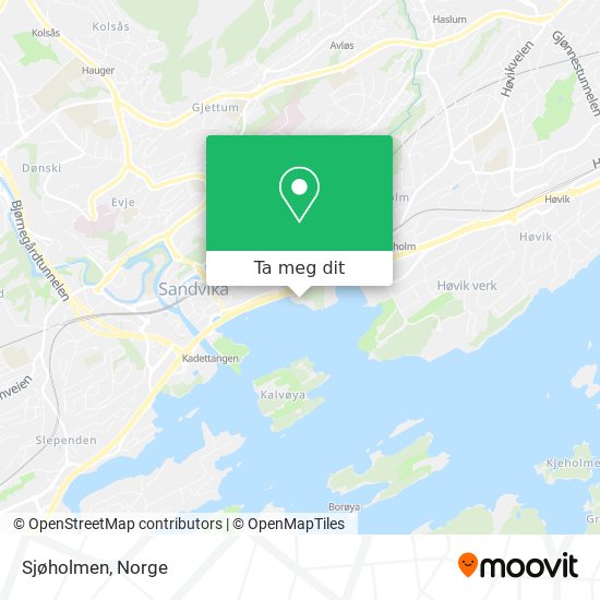 Sjøholmen kart