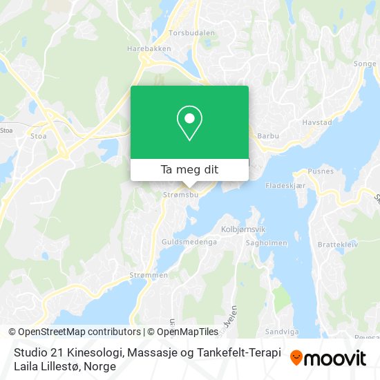 Studio 21 Kinesologi, Massasje og Tankefelt-Terapi Laila Lillestø kart