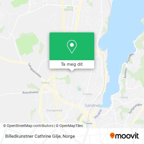 Billedkunstner Cathrine Gilje kart