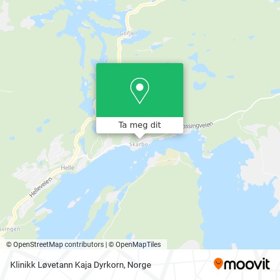 Klinikk Løvetann Kaja Dyrkorn kart